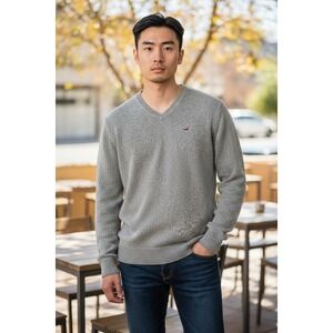Hollister Mens‎ Gray V Neck Sweater Pullover Long Sleeve Knit Bird Logo Size M